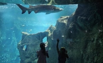 La Rochelle Aquarium
