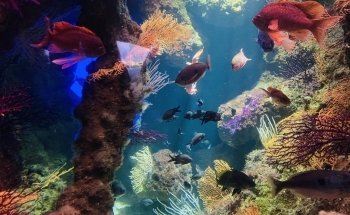 La Rochelle Aquarium