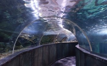 Grand Aquarium of Touraine