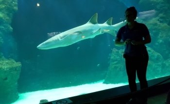 Aquarium of Lyon