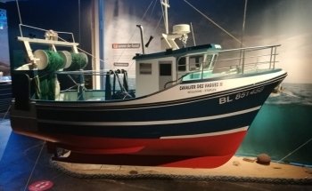 Mareis - Sea Fishing Discovery Center