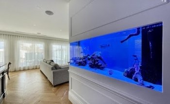 Acuario Atlantis & Co