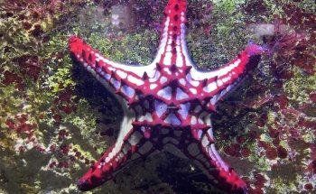 Aquarium du Limousin