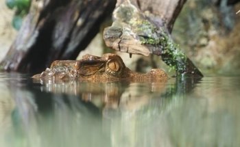 Aquarium du Limousin