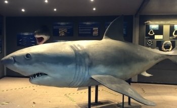 Aquarium d'Amnéville