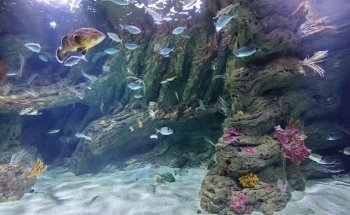 Biodiversarium