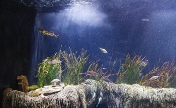 Biodiversarium
