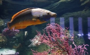 Biodiversarium