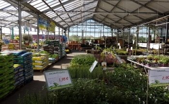 Jardinerie Tarnaise Albi