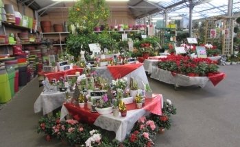 Jardinerie Tarnaise Albi