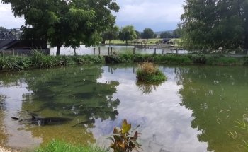 Area De Vendresse