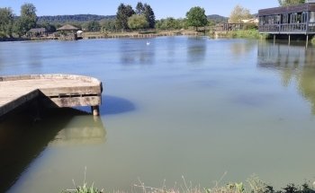 Area De Vendresse