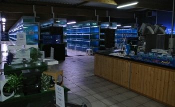 Oxyfish