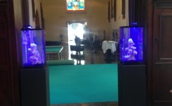 Oxyfish