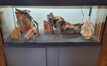 terranimo