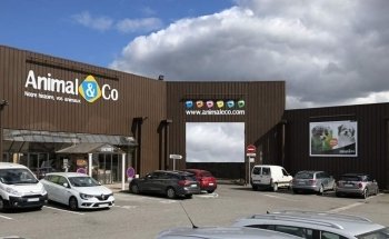 terranimo