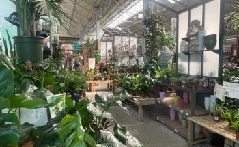 South Garden Tarn Castres