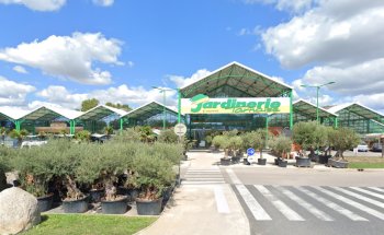 South Garden Tarn Castres