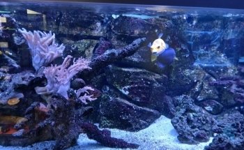 Aquarium de Dunkerque