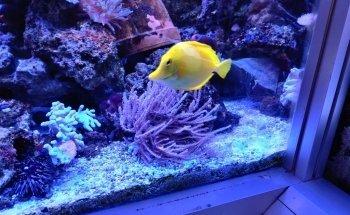 Aquarium de Dunkerque