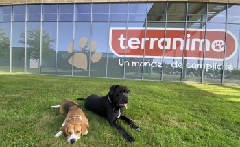 Terranimo Saint-Pierre-du-Mont - animalerie et salon de toilettage