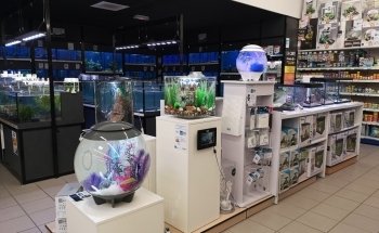 Terranimo Saint-Maur - animalerie pour animaux de compagnie