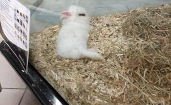 Terranimo Saint-Maur - animalerie pour animaux de compagnie