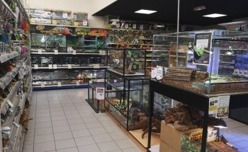 Terranimo Saint-Maur - animalerie pour animaux de compagnie