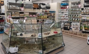 Terranimo Saint-Maur - animalerie pour animaux de compagnie
