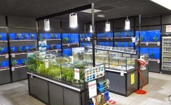 Terranimo Saint-Maur - animalerie pour animaux de compagnie