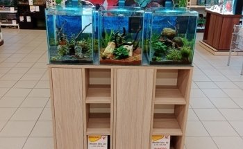 Terranimo Boé - animalerie pour animaux et salon de toilettage