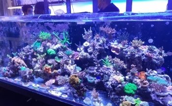 Marinehome