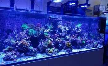 Marinehome