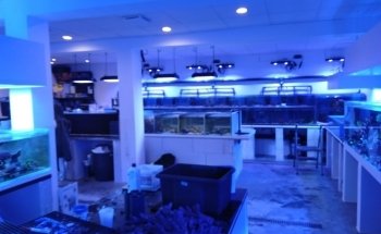 Marinehome