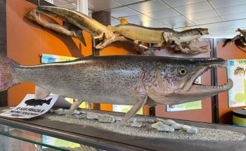 House of Fishing and Nature