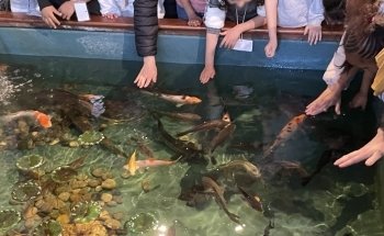 House of Fishing and Nature