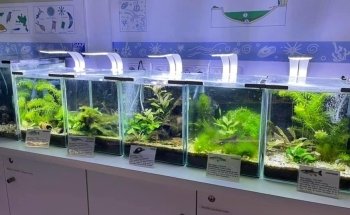 House of Fishing and Nature