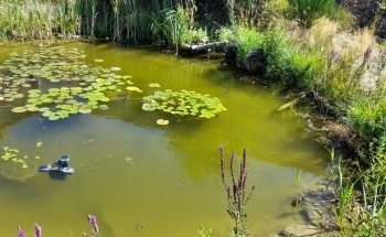 Maison des Pêcheurs du Lac de Grand Lieu