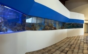 Aquariums Nguyen