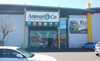 Animal & Co NIORT - animalerie