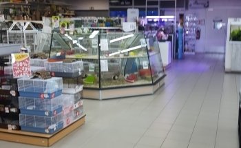 Animal & Co NIORT - animalerie