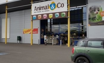 Animal & Co NIORT - pet store