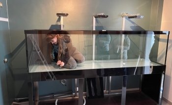 Abri Sous Roche