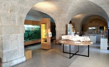 Aquarium-Insectarium (Muséum de Besançon)