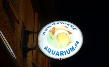 Oxygène Aquarium
