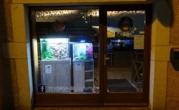 Oxygen Aquarium