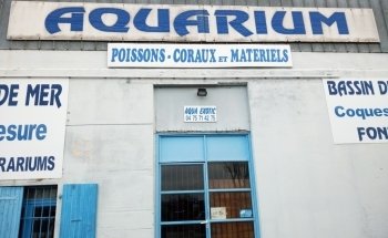 Aquaexotic