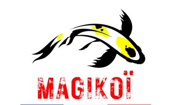 Carpe koï Magikoï