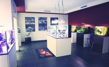 NEOQUARIUM Aquastudio Nice