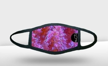 NEOQUARIUM Aquastudio Nice